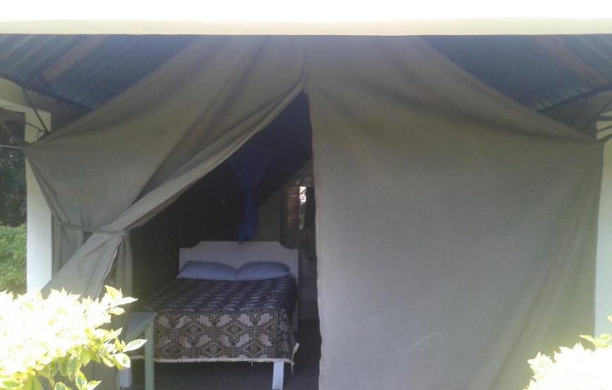 Superior Double Tent