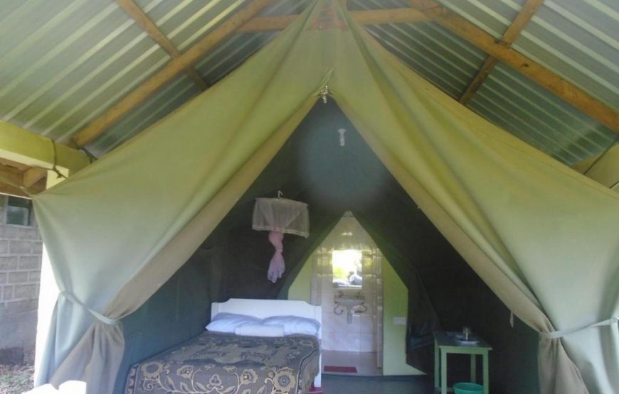 Superior Double Tent